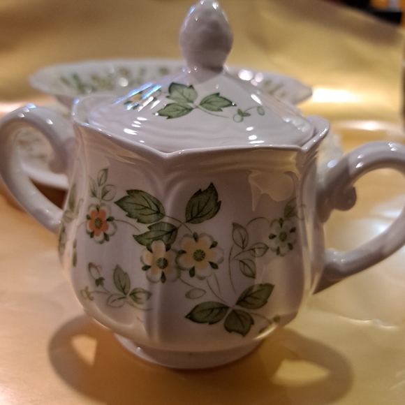 Vintage 1970 Petite Flora Set - Picture 4 of 13